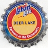 Deer Lake - 2-A-12NFP19