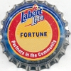 Fortune - 2-A-12NFP24