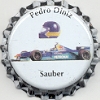 Sauber - Pedro Paulo Diniz (Brasilien)